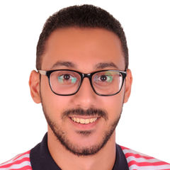 محمد عصمت عبد المحسن, Oracle HCM Techno-functional Consultant
