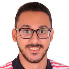 mohamed essmat Abdel Mohsen, Oracle HCM Techno-functional Consultant