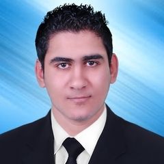 محمد محمد طه محمد محمد, junior auditor