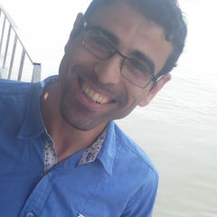 Muhammad Ibrahim Omran, web Designer and Developer