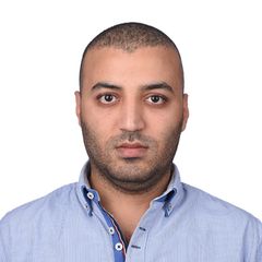 Mahmoud Ahmed, Service Engineer