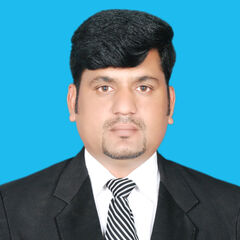 Muhammad Saleem Saleem, Oracle Financials Functional Consultant ERP