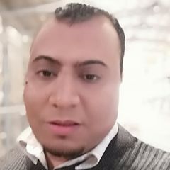 ahmed  gomaa, chief accountant