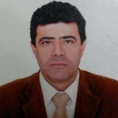 khaled mahmoud, project manager