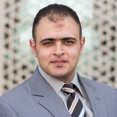 Ali Elgamal, Consultant, PR and Media Relations