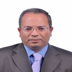 Ehab ameen, development manager