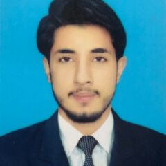 Ali Raza Shahid, Accountant And Cashier