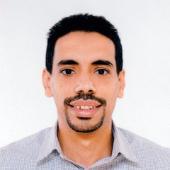 Mohamed mohmoud abdmohsen ahmed Ziayda