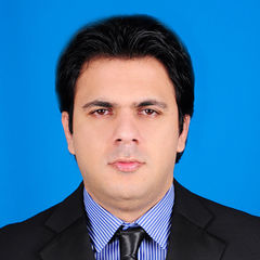 Dinesh Sachdev, Business Development Specialist