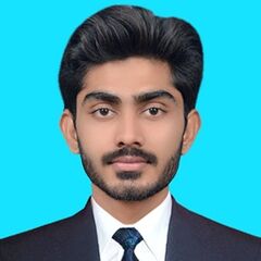 Shoaib  Arif, Data Entry Operator