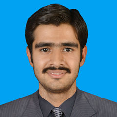 Waqar Haider wiki, Senior Software Engineer