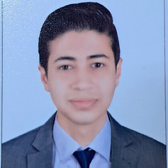 Mohamed Hesham  Abu Muslim Atiya