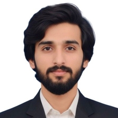 Talha Mehmood, Call Center Agent