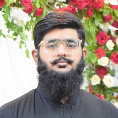 Muhammad Sharjeel  Nawaz