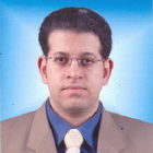 Mohamed Sayed Hussien, Sales Manager