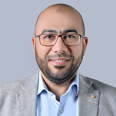 عمرو عناني, Consulting Operations Director