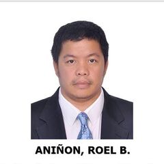 Roel Aninon, Senior Electrical Enginner