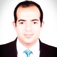 Mohammed Nafady, Country Sales Manager