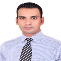 محمد فايز احمد جادالرب, Tax Auditor