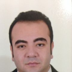 hesham chafik, supervisor