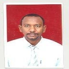 Abdelaal Hamzaa Hassan Mohamed Mohamed Saleh, سكرتير اداري