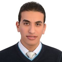 Mahmoud Shalaby, Senior .NET & SharePoint Developer