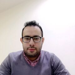 Abdelhamid Shalaby, Treasury Supervisor