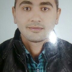 Elsayed Fadl, Civil Site Manager