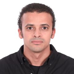 Hassan Mohamed Attya, Commercial Team‐Leader