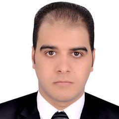 حسين احمد سالم, رئيس حسابات