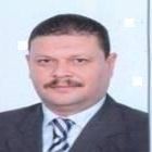 hassan elsayed, deputy sales manager