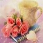 awatif السريدحي, محصــــــــــلة ديـــــــــــون