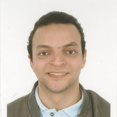 Ahmed Fawzy, Senior Structural design engineer