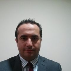 Mohammad Samara, Project Manager and Business Analyst