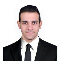 Elsayed fawzy Mohamed el sayed el seify