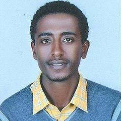 ayele abebe, Technical assistance