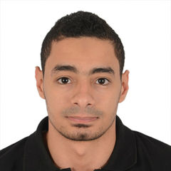 Mahmoud Ahmed Alaa El-Dain Ali, System Administrator