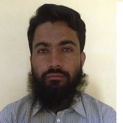 Muhammad  ilyas, job in information technology