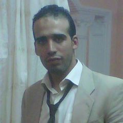 محمد فوزى عبدالمحسن كشك, مدخل بيانات