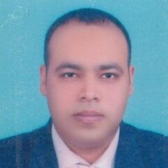 hossam adel, contract manager