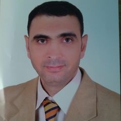إبراهيم فتوح عيسوى, Senior Information Systems Architect, Designer, and Developer