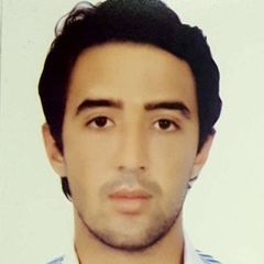 Karim Belouadi, Social Media Analyst 