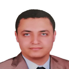 محمد ابراهيم الصياد, Software Engineer