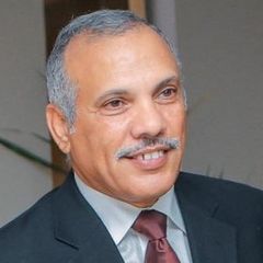 محمود  حمدى, مستشار مالى