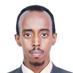 Mohamed Ahmed Nur, Custom compliance officer