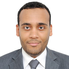 محمد عوض محمد بلقدي, Technical Consultant – Hospitality Systems 