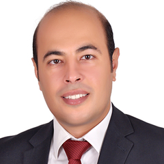Mostafa Abdelrahman Zain