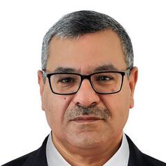 Osama Elnator, MEP Manager