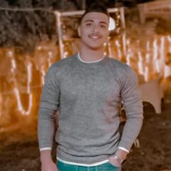 mahmoud elgendy