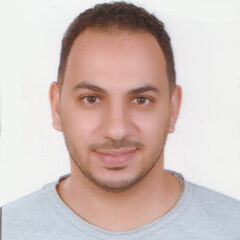 Ahmed Mohsen Mahmoud Abouomra, مسؤول موارد بشرية